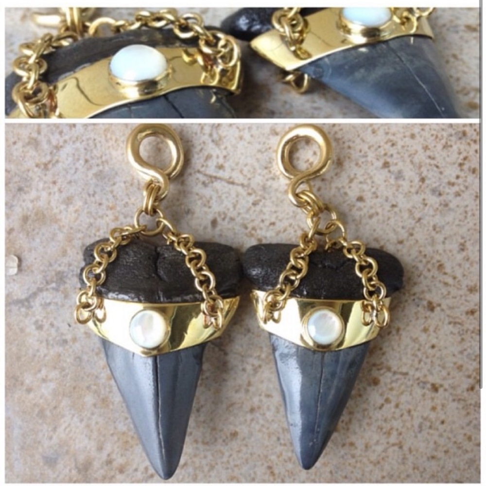 RARE Diablo Organics Megalodon Teeth
Weights Opalite